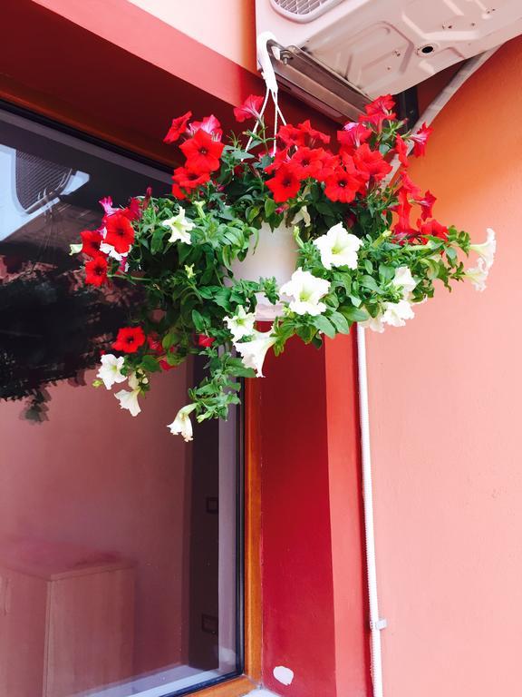Orange House Constanta Διαμέρισμα Εξωτερικό φωτογραφία
